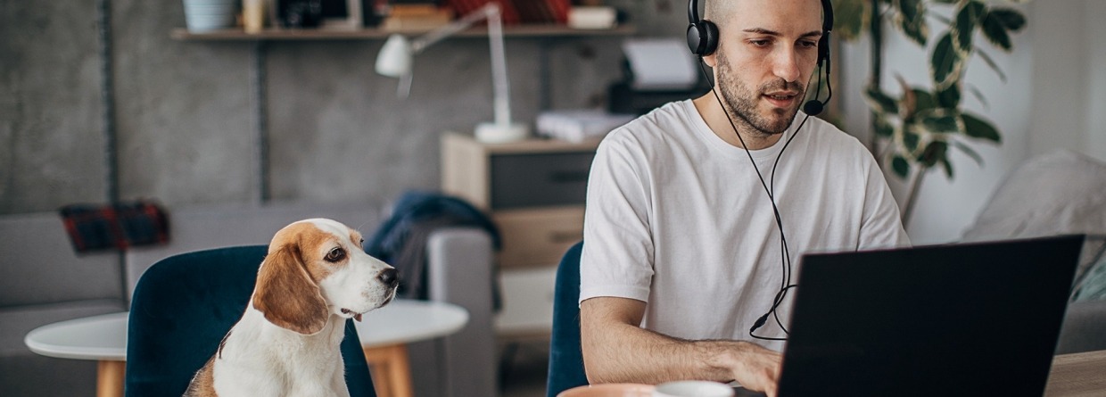 Man die aan laptop thuis werkt, met zijn hond naast hem op de stoel